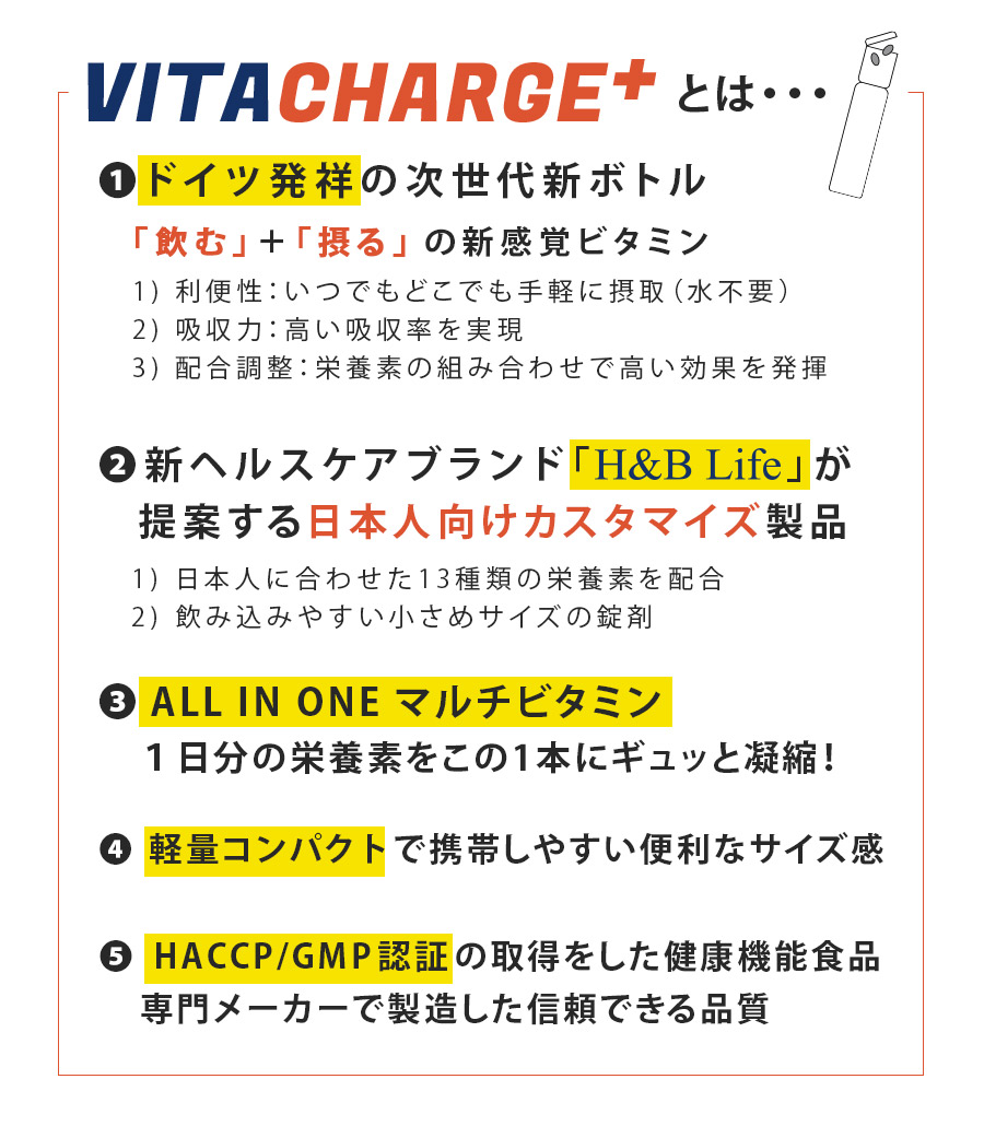 VitaChargeとは