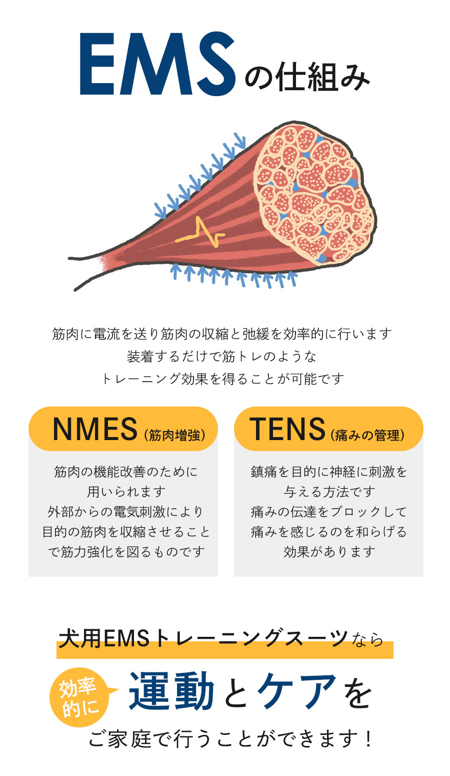 EMSｓの仕組み